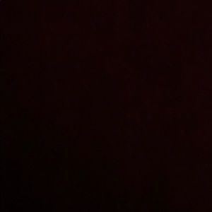 Meet your Posher, Annie